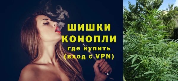 гидра Алексеевка