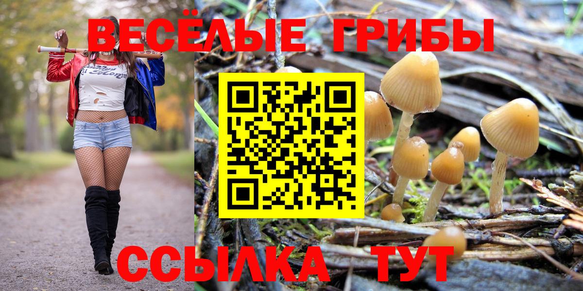 Галлюциногенные грибы Psilocybine cubensis Серов